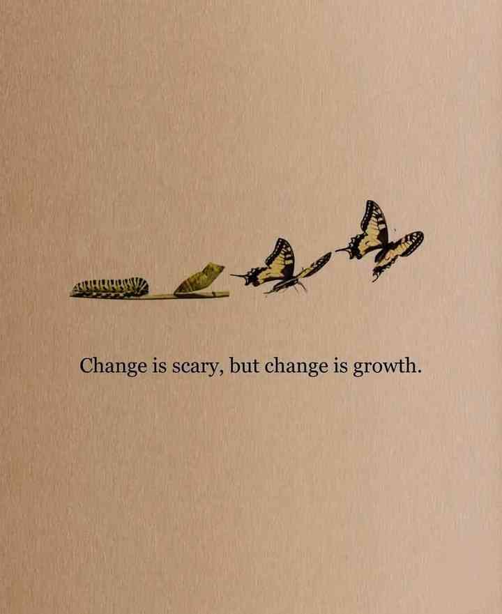 Change is scary, but change is growth | MirrorLog